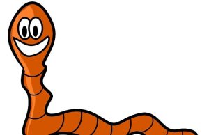 Ανέκδοτο: Ο Τοτός και το σκουλήκι