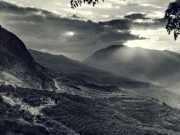 Ο Βρυκόλακας της Παρνασσίδας που Μελετήθηκε από Ειδικούς