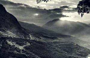 Ο Βρυκόλακας της Παρνασσίδας που Μελετήθηκε από Ειδικούς