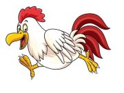 Ανέκδοτο: Ένας οδηγός επέστρεφε στην Αθήνα όταν είδε μία κότα που έτρεχε με 200 κότα που τρέχει