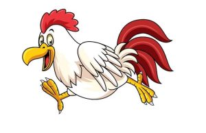 Ανέκδοτο: Ένας οδηγός επέστρεφε στην Αθήνα όταν είδε μία κότα που έτρεχε με 200 κότα που τρέχει