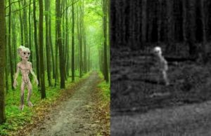 Την Παλαιότερη Αυθεντική Φωτογραφία Εξωγήινου Όντος ισχυρίζεται ότι έχει στα χέρια του ερευνητής