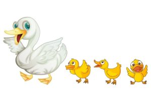 Ανέκδοτο: Ήτανε μια φορά ένας χωρικός λίγο βραδύγλωσσος, κεκές πάπιες