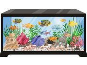 Ανέκδοτο: Συναντιούνται δυο φίλοι που είχαν να βρεθούν πολλά χρόνια Ενυδρείο δεξαμενή