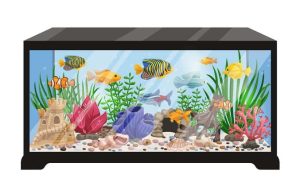 Ανέκδοτο: Συναντιούνται δυο φίλοι που είχαν να βρεθούν πολλά χρόνια Ενυδρείο δεξαμενή