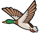 Ανέκδοτο: Ένας μεγαλοδικηγόρος πάει για κυνήγι αγριόπαπιας αγριόπαπια