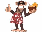 Διδακτικό Ανέκδοτο: Ένας τύπος άρχισε να αγοράζει μαϊμούδες Μαϊμού με ένα κοκτέιλ στο χέρι, με παρεό και γυαλιά