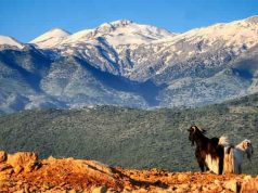 Ποιοι Άνθρωποι Ζούσαν στην Κρήτη πριν από 15.000 χρόνια;