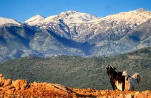 Ποιοι Άνθρωποι Ζούσαν στην Κρήτη πριν από 15.000 χρόνια;