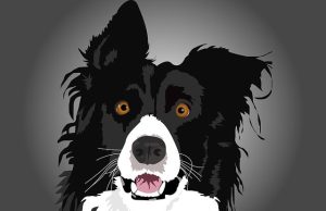 Ανέκδοτο: Ένας Σκύλος περιφέρεται στη ζούγκλα μέχρι που βλέπει μια λεοπάρδαλη να κατευθύνεται προς το μέρος του Ένας Σκύλος