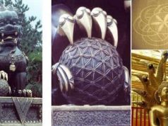 Σπόρος της Ζωής. Το σύμβολο του περιέχει τα μυστικά του σύμπαντος κόσμου και φυλάσσεται από υπερφυσικά πλάσματα