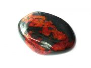 Γιατί να έχουμε ένα ηλιοτρόπιο πάντα μαζί μας ή στο σπίτι μας