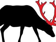 Ανέκδοτο. Γιατρέ μου, η γυναίκα μου με απατά εδώ και 6 μήνες