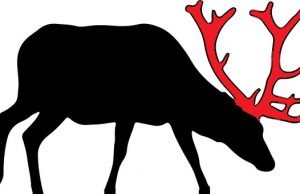 Ανέκδοτο. Γιατρέ μου, η γυναίκα μου με απατά εδώ και 6 μήνες