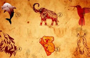 Με την επιλογή του πνευματικού μας ζώου θα λάβουμε ένα μήνυμα δύναμης για την ψυχή μας