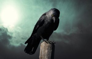 Προστασία αν κάποιος εύχεται να πάθω κάποιο κακό κοράκι