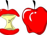 Ανέκδοτο: Τα μήλα των Εσπερίδων και η αστυνομία