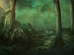 Επιστήμονες εντοπίζουν την αιτία της μεγαλύτερης παγκόσμιας καταστροφής στην ιστορία του ανθρώπινου πολιτισμού δέντρα σε ομίχλη