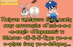 Ανέκδοτο: Παίρνει τηλέφωνο ένας κεκές στην αστυνομία