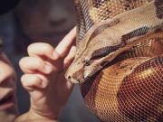 Τα 3 ζώδια που είναι φίδια στη συμπεριφορά τους