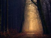 3 ανεξήγητα περιστατικά που συντάραξαν την Ελλάδα του 1929, σύμφωνα με τους συντάκτες της εποχής