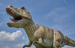 Κανένας μετεωρίτης δεν εξαφάνισε τους δεινόσαυρους. Αναθεώρηση της εξαφάνισης των ειδών