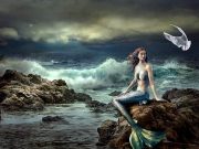 Μάρτυρες που λένε ότι είδαν ζωντανές γοργόνες γοργόνα κάθετε σε βράχο, πίσω της η θάλασσα