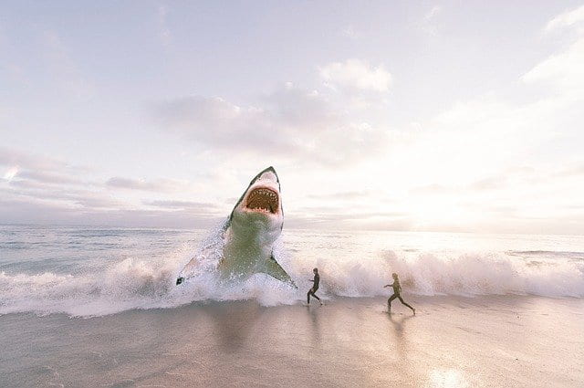 καρχαρίας πετάγεται όρθιος σε παραλία