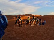 Tο αλφάβητο που μοιάζει με το ελληνικό έρημος, καμήλες με καβαλάρηδες