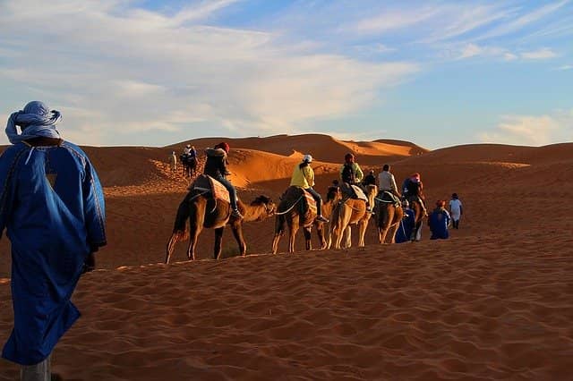 έρημος, καμήλες με καβαλάρηδες
