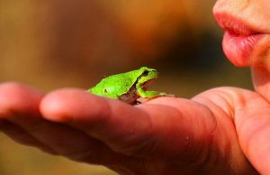 Ανέκδοτο: Ζουμερή ζωντοχήρα πάει σε pet shop