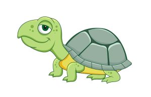 Ανέκδοτο: Ξεκινούν ο μπαμπάς χελώνος, η μαμά χελώνα και το μικρό χελωνάκι για πικνίκ στο βουνό χελώνα