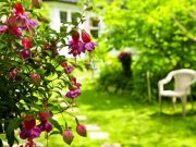 Μια βόλτα στον Κήπο των Ανθισμένων Σκέψεων Ένας που θα μπορούσε να αφορά τον Κήπο των Ανθισμένων Σκέψεων