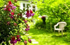 Μια βόλτα στον Κήπο των Ανθισμένων Σκέψεων Ένας που θα μπορούσε να αφορά τον Κήπο των Ανθισμένων Σκέψεων