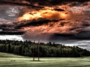 Το «κυνηγετικό πάρτι» ερπετοειδών σε αγρόκτημα