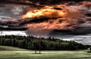 Το «κυνηγετικό πάρτι» ερπετοειδών σε αγρόκτημα