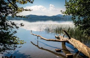 Γέρος της Λίμνης: Ο μυστηριώδης κορμός δέντρου που αψηφά τους νόμους της φυσικής