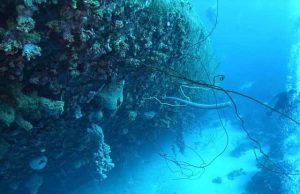 Ο Τιτανικός εκπέμπει σήματα SOS έναν αιώνα αργότερα