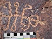 Πετρογλυφικό από «μισό άνθρωπο και μισό αλογάκι της Παναγίας» παραπέμπει σε εξωγήινη φυλή Πετρογλυφικό από «μισό άνθρωπο και μισό αλογάκι της Παναγίας» παραπέμπει σε εξωγήινη φυλή