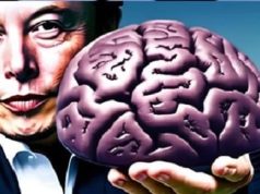 Εγκεφαλικά εμφυτεύματα Έλον Μασκ, οφέλη κίνδυνοι Ο Έλον Μάσκ κρατάει ανθρώπινο εγκέφαλο