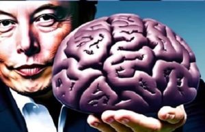 Εγκεφαλικά εμφυτεύματα Έλον Μασκ, οφέλη κίνδυνοι Ο Έλον Μάσκ κρατάει ανθρώπινο εγκέφαλο