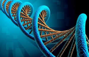 Δομή της διπλής έλικας του DNA και η ιδέα για 12