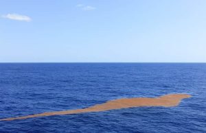 Θάλασσα των Σαργασσών. Τα μυστηριώδη νερά της νησίδα από φύκια στη Θάλασσα των Σαργασσών