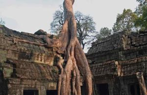 Η Μυθική «Χαμένη Πόλη των Θεών» στην Καμπότζη Ta Prohm στη Μυθική «Χαμένη Πόλη των Θεών» στην Καμπότζη