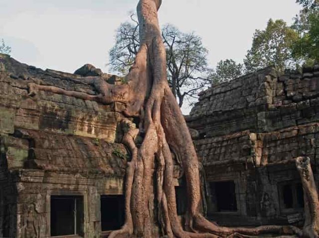 Ta Prohm στη Μυθική «Χαμένη Πόλη των Θεών» στην Καμπότζη