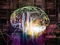 Συγχώνευσαν Εγκεφαλικό Ιστό με Ηλεκτρονικά & ΤΝ ηλεκτρονικά κυκλώματα σε εγκέφαλο