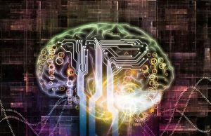 Συγχώνευσαν Εγκεφαλικό Ιστό με Ηλεκτρονικά & ΤΝ ηλεκτρονικά κυκλώματα σε εγκέφαλο