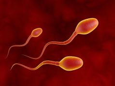 Το Ανθρώπινο Σπέρμα Αψηφά Νόμο του Νεύτωνα τρία σπερματοζωάρια από ανθρώπινο σπέρμα