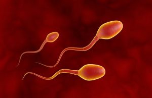 Το Ανθρώπινο Σπέρμα Αψηφά Νόμο του Νεύτωνα τρία σπερματοζωάρια από ανθρώπινο σπέρμα