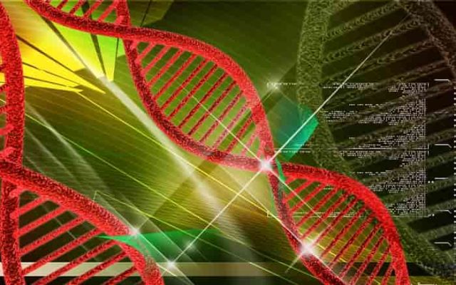 αναβάθμιση DNA